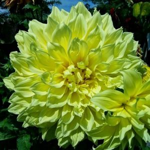 Meet your Posher, Julie